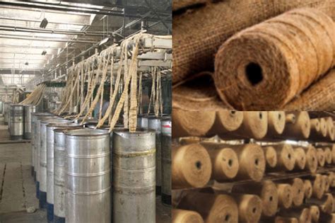  Jute: Ein nachhaltiges Wunder für die Textil- und Papierindustrie!